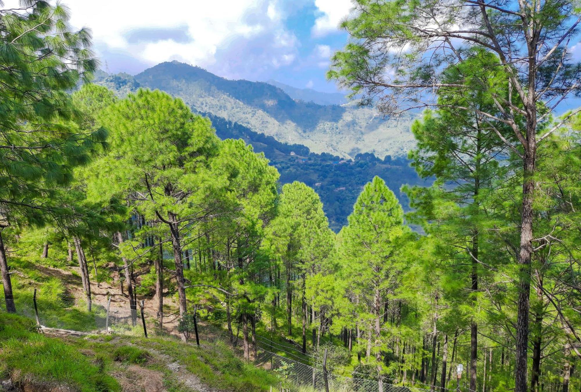 The Woods Retreat Ξενοδοχείο Lansdowne Εξωτερικό φωτογραφία