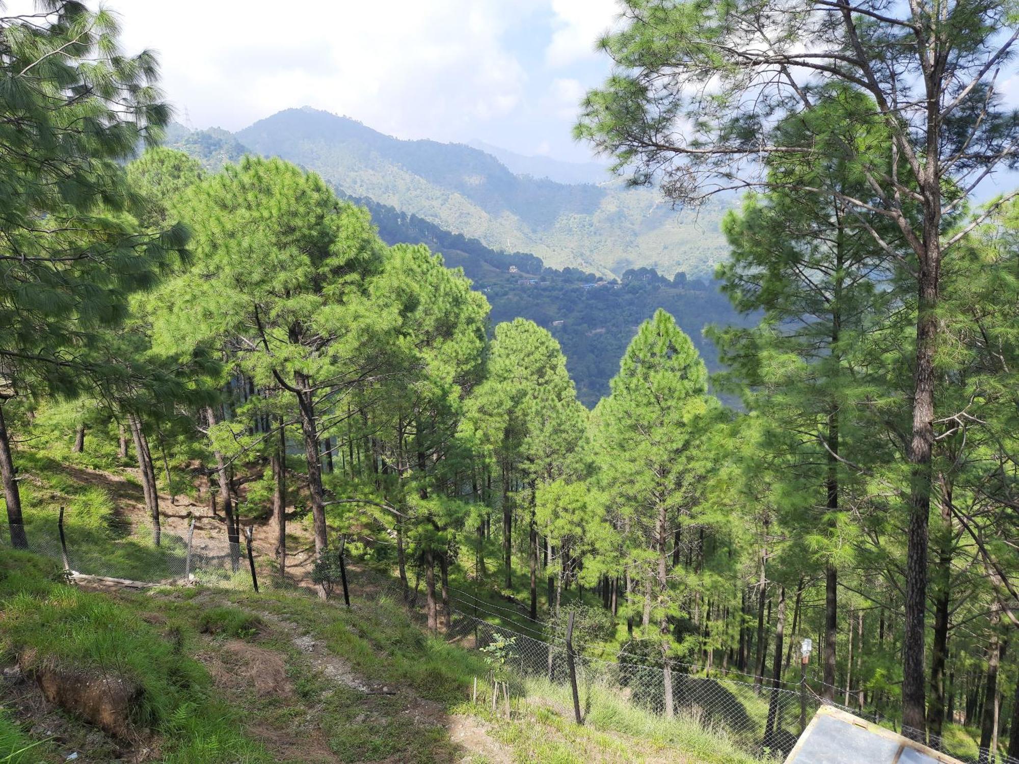 The Woods Retreat Ξενοδοχείο Lansdowne Εξωτερικό φωτογραφία